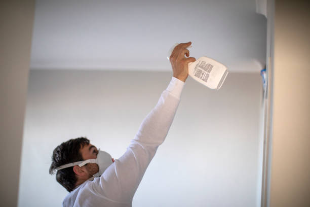 Best Basement Mold Remediation in Nellieburg, MS